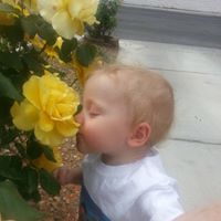 Donna Schaffer-Cranfill