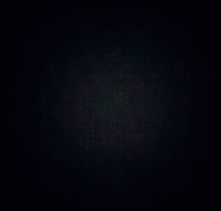 น้อง นัท