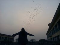 অপরাজিতা তালুকদার