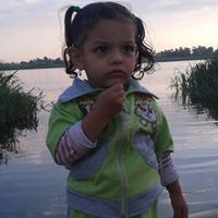 احمد عبد الشكور