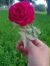 Mohamma...