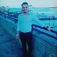 Ahmed Reda Qi