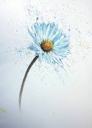 Daisy R