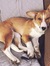 Emily -...