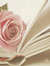 Abir