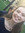 Alana | 1 comments