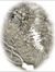 Valerie Albemarle