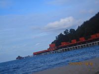 هيفاء المهباش