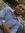 Girish ...