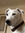 Beth Bennett | 11 comments
