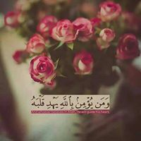 Nefertity Archeologist