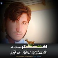 Shazal Mohmand