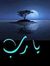 Sameh M...