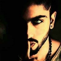 أيهم الشيخو