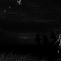 Sanťý Vëňävïđëž