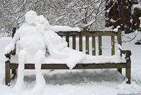 Ellen Scott-Lamarche