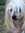 Ashley Solomon | 37 comments