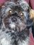 Vicki W...