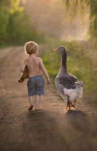 புதுக்கவிதை பா.நிரா