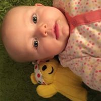 Miss Suzanne E Armer