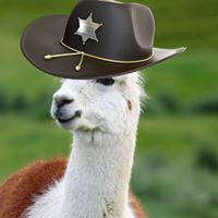 Paul
