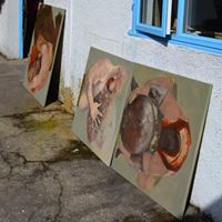 s. vandemeulebroucke