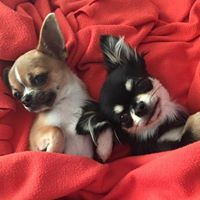 Nicola Jayne Doherty