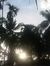 Pramod ...