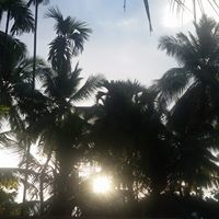 Pramod Bhuimbar