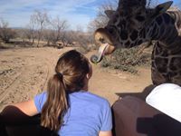 Mackenzie N. Mattern