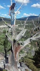 Caitlin ┐('～`;)┌