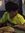 Cason Lee