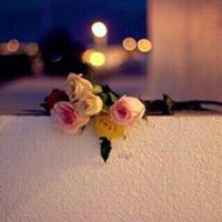 لوشا الغامدي