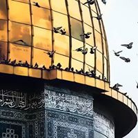 علاء الرمحي