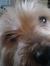 cherie ...
