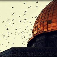 رشادالمكني ابوالفداء