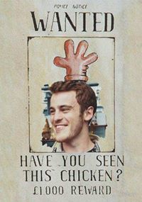 Xavier Lewis Rodriguez