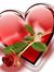 Rabia M...