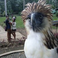 Pacia Gerald
