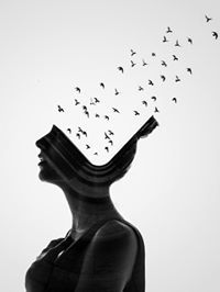 ცისი მოისწრაფეშვილი