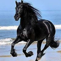 رساله الميزان