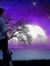 Vinay S...