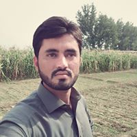 Wajid Safi