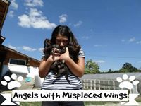 Мария Дръндева