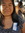 Janelle Mallari (elliereadss) | 1 comments