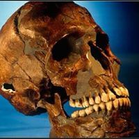 تامر عبد العظيم