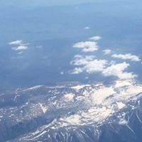 דורית הלפרין-שי