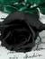 Madame Black Rose