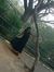 Divya M...
