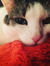 Bethanne